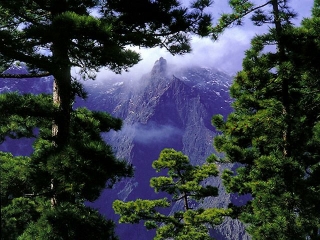 Остров Ла Пальма (Канарские острова, Испания)