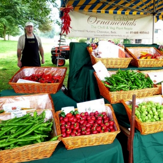 Фестиваль перца чили в Великобритании