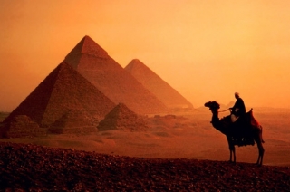 Лечение туристов в Египте будут владельцы туристических автобусов