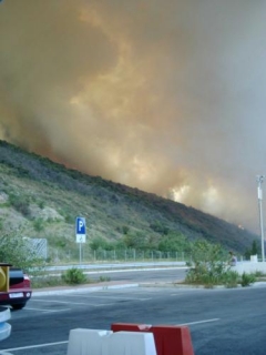 В Хорватии - лесные пожары: с острова Брач эвакуируют туристов