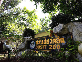 День Семьи в зоопарке Дусит в Таиланде