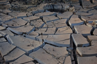 В Кении сильная засуха, но туристам она не мешает