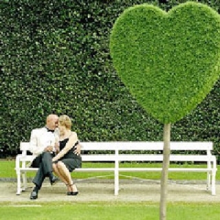 Фестивали и выставки Израиля в августе