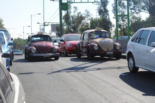 Туристы всё чаще становятся жертвами таксистов в Мехико