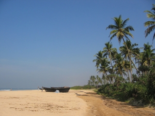 В Гоа можно будет ездить без опаски
