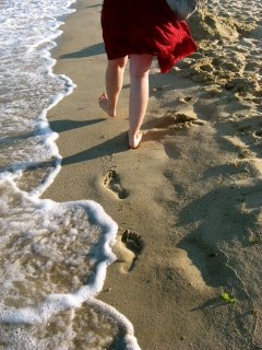 Змеи на пляжах и ядовитые морские драконы беспокоят туристов в Болгарии