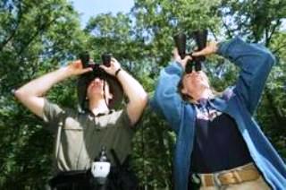 Уганда отмечает День туризма свободным посещением национальных парков