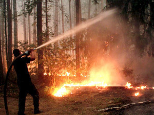 Столица Черногории охвачена лесными пожарами