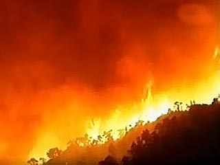  Туристов эвакуируют с Ибицы из-за лесного пожара 