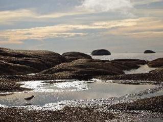 Парусная регата Sail Indonesia-2011 продолжается