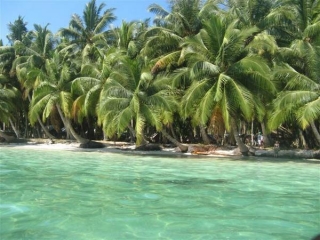 Снова крокодилы: на одном из островов Андаманского архипелага запрещено купание