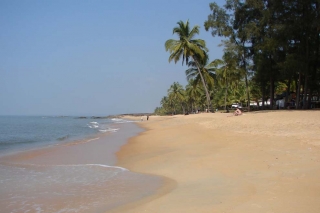 Из России в Кералу снова запустят чартеры