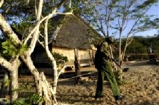 Еще одна европейская туристка была похищена в Кении