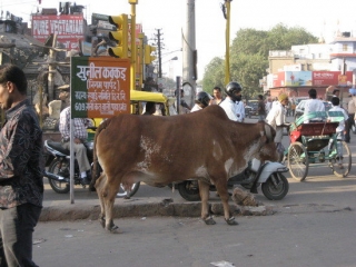 Индия станет более дружественной по отношению к туристам