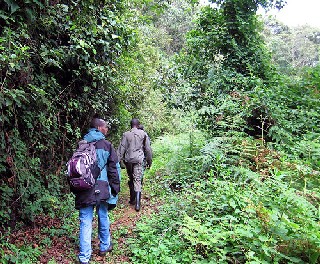 Руанда запускает новый пешеходный маршрут ''Congo Nile Trail''