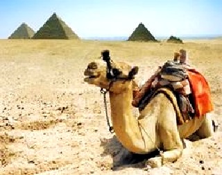 Питатство угрожает круизной индустрии в Персидском заливе