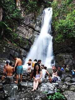 Национальный парк ''Эль-Юнке'' в Пуэрто-Рико может стать еще одним чудом света