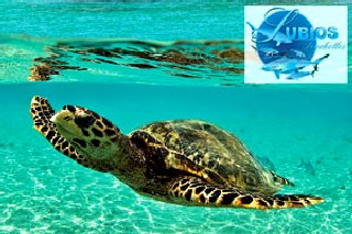 Международный фестиваль моря на Сейшелах стартует в марте следующего года