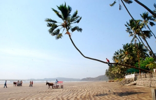 4 лучших пляжа на берегу между Мумбаи и Гоа