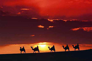 Тунис представляет новые туристические направления на мировом рынке