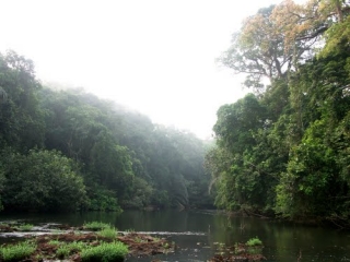 Сьерра-Леоне меняет имидж и ждет любителей экотуризма в новом национальном парке