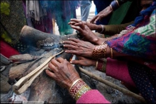 Индия страдает от холодов  