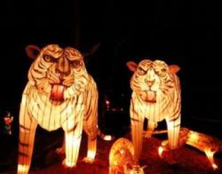 Ежегодный международный фестиваль ''Цвета Юга'' в Хат Яй, Таиланд