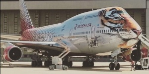 «Тигролет» присоединился к участию в программе празднования Дня тигра во Владивостоке