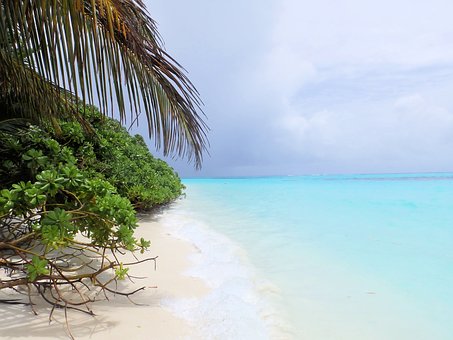 Россиян на <a href=/maldives/>Мальдивах</a> стало больше Россиян на Мальдивах стало больше