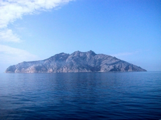 Крысы заполонили итальянский остров Монтекристо