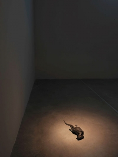 Необычная выставка под названием &laquo;Что я люблю&raquo; открылась в Стамбуле (8.02-21.03)