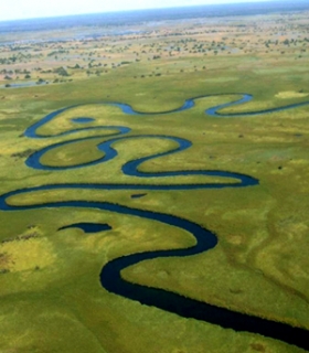 Уникальная фауна дельты Окаванго в Африке на грани исчезновения