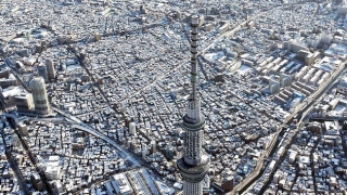 В Токио построена 634-метровая коммуникационная башня &ndash; самая высокая в мире