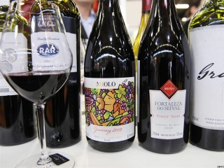 Неделя вина в Праге ознаменуется дегустациями и низкими ценами на напиток