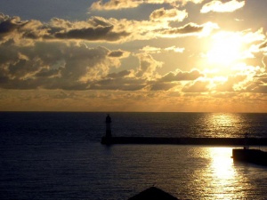 На пляжах Сочи запретили купаться до 8 утра и после 20:00