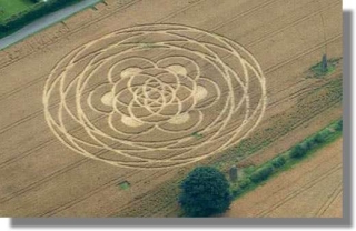  Таинственные круги на полях Индонезии манят туристов 