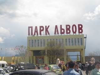 Собираетесь в Крым - обязательно посетите местный сафари-парк: львы и прерия