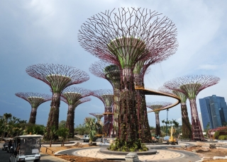В Сингапуре открываются &laquo;Сады у залива&raquo;