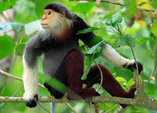 Вьетнам: пляжи и живая природа привлекают туристов на центральное побережье