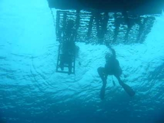 В Болгарии начнут развивать дайвинг-туризм