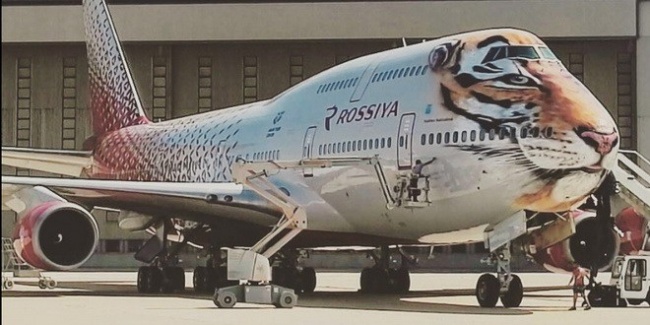 «Тигролет» присоединился к участию в программе празднования Дня тигра во Владивостоке