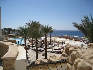 Поиски акулы в Египте продолжаются