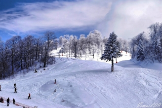 Из-за снегопада туристы в Турции не могут выйти из отеля