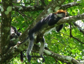 Без надлежащей инфраструктуры природа Танзании не привлекает туристов 