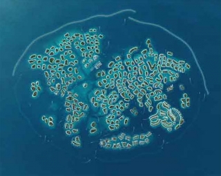 Шансы увидеть уникальный архипелаг островов в ОАЭ увеличиваются 