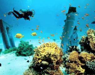 Дайвинг в <a href=/egypt/>Египте</a>
