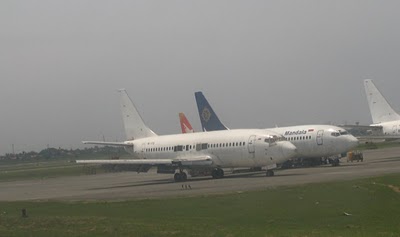 В аэропорту Джакарты пресекли попытку контрабанды животных