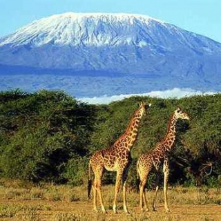 Танзания получит финансовую помощь для развития туризма