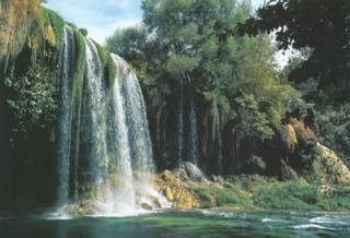 Природа Турции нуждается в защите