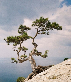 Западный берег Крыма превратят в Анталию